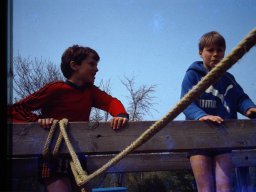 0DIA 1984 RAVA PUPS 1